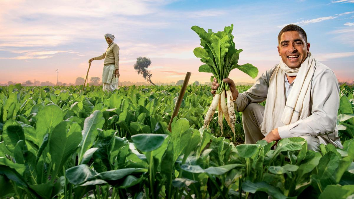 Soil Health