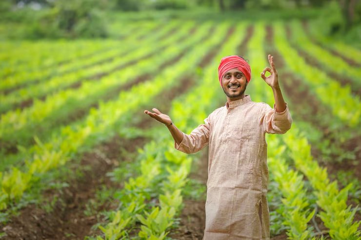Bio Fertilizer