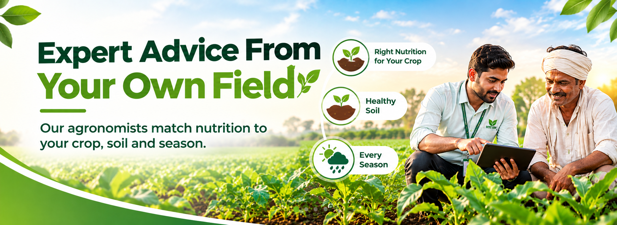 Bio Fertilizer and Soil Nutrition